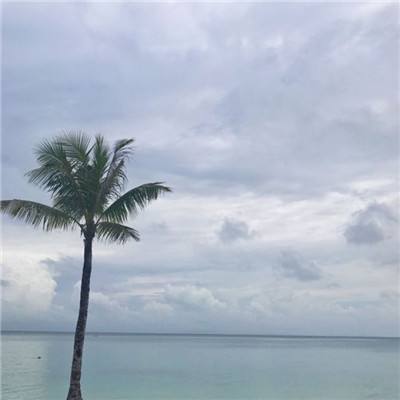 特朗普谈政府部分停摆：我们将视国会协调情况而定。